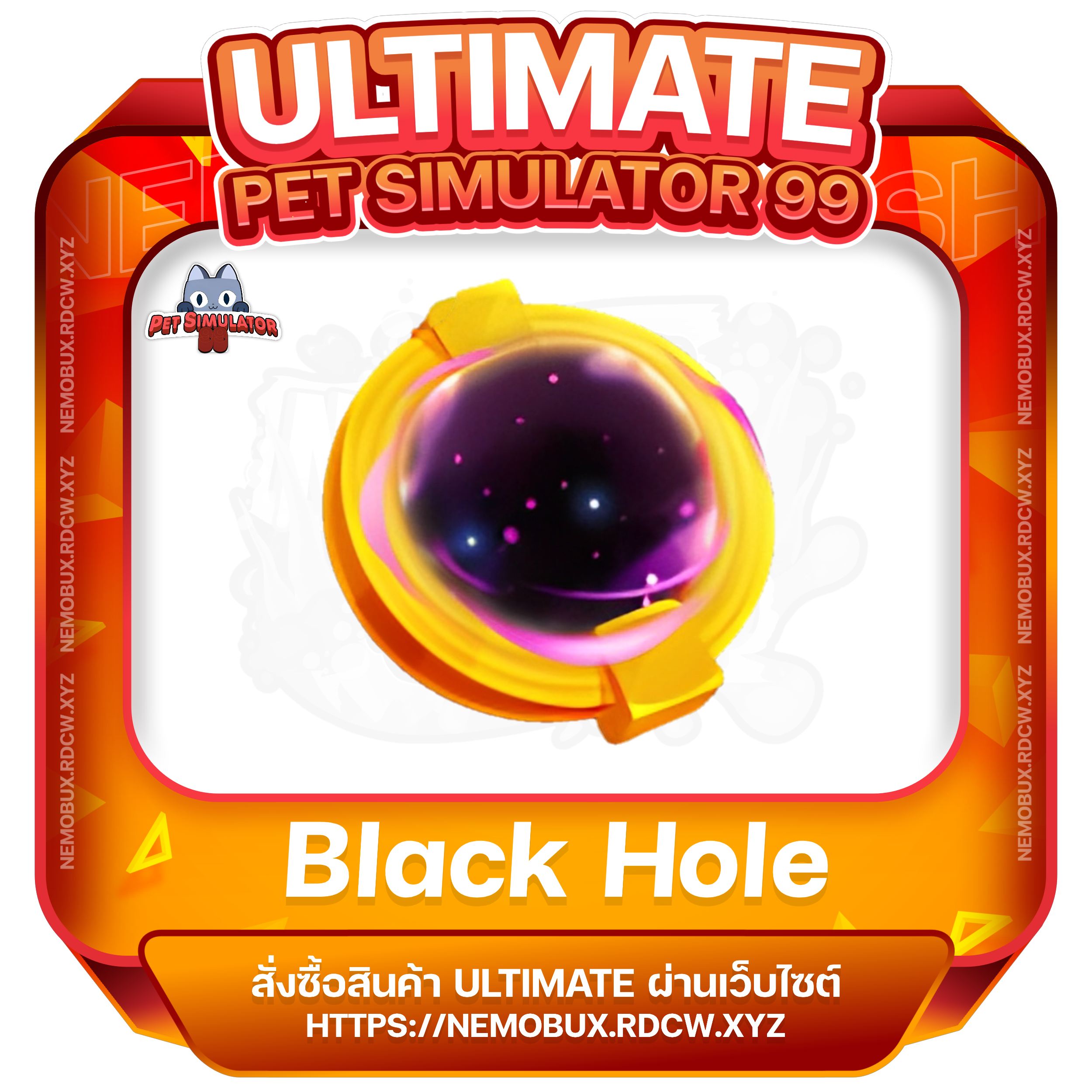 Black Hole